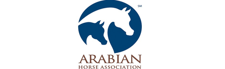 AHA - Logo